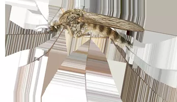 Sivrisinek İlaçlama